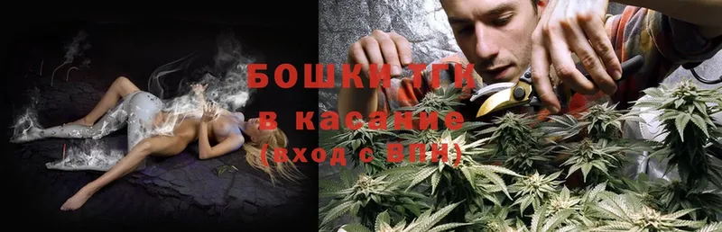 Каннабис OG Kush  Кемь 